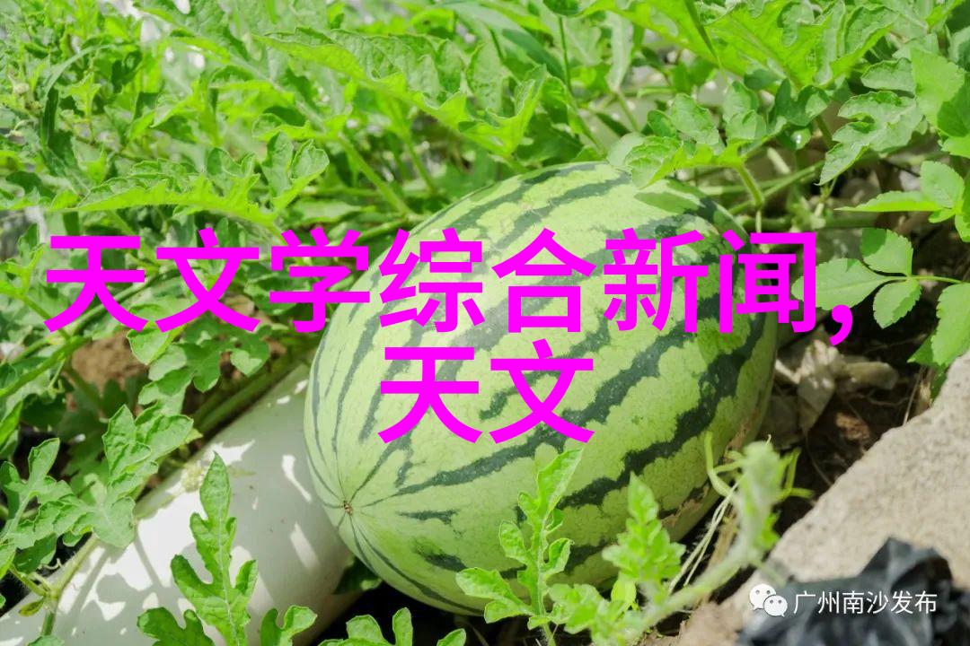 山东财经大学我在这里的故事从经济学的起点到人生的财富