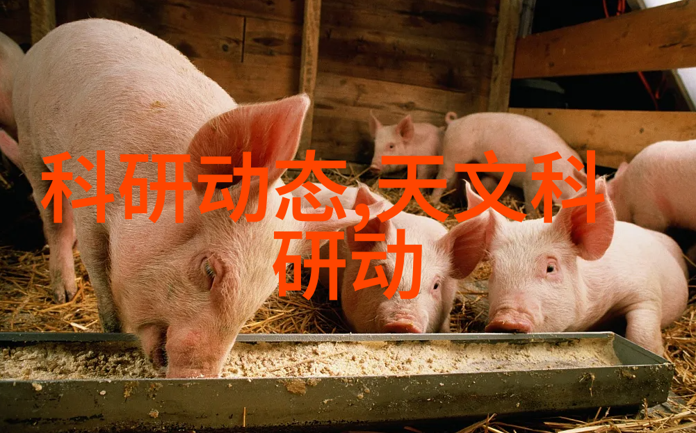 附近高品质不锈钢制品生产厂家专业提供各种不锈钢材料解决方案