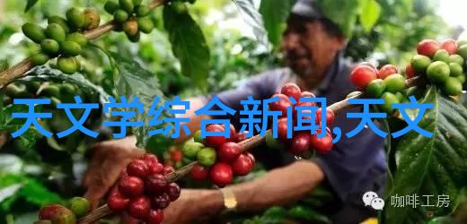 未解之谜组合填料技术背后的秘密参数