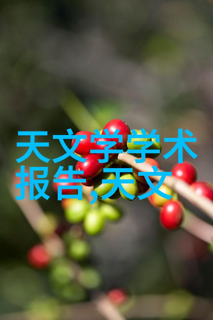 铁匠的守护铸造历史的火焰