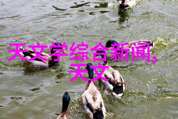探索可持续性的绿色科技解决方案