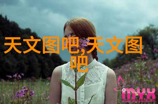 内蒙古财经大学官网开启智慧财富的窗口