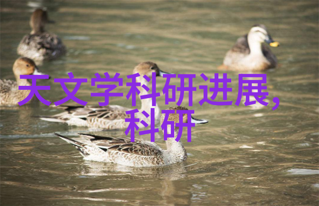 大规模生产中的微波多层板式干燥技术探讨