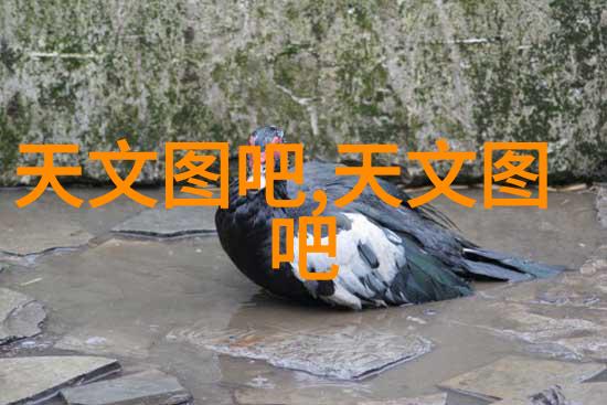 不锈钢管退火炉高效能金属热处理设备