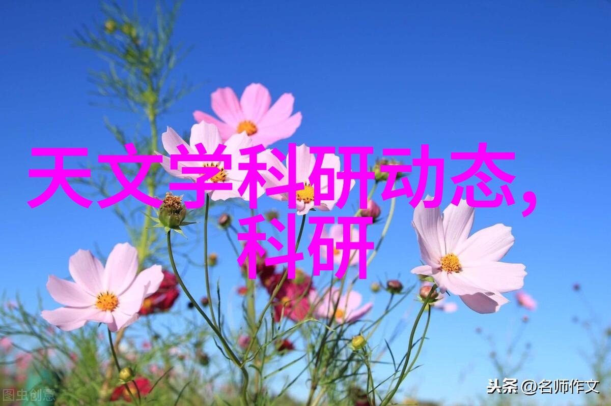 污水净化奇迹绿色一体机的智能守护