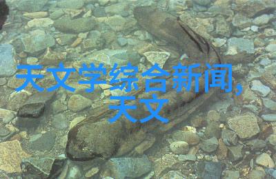 屋顶防水智囊团浴室装修六大防水秘籍