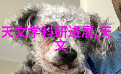 宠爱药箱探索高品质宠物药品的世界