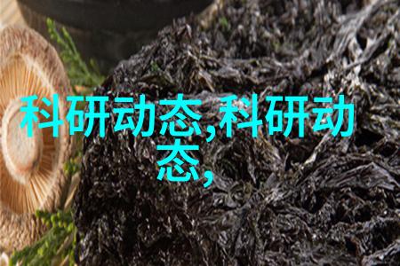 水洗机设备如何确保清洁至深