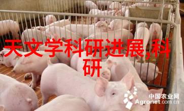 机器之眼从数字的黑暗中寻找光明