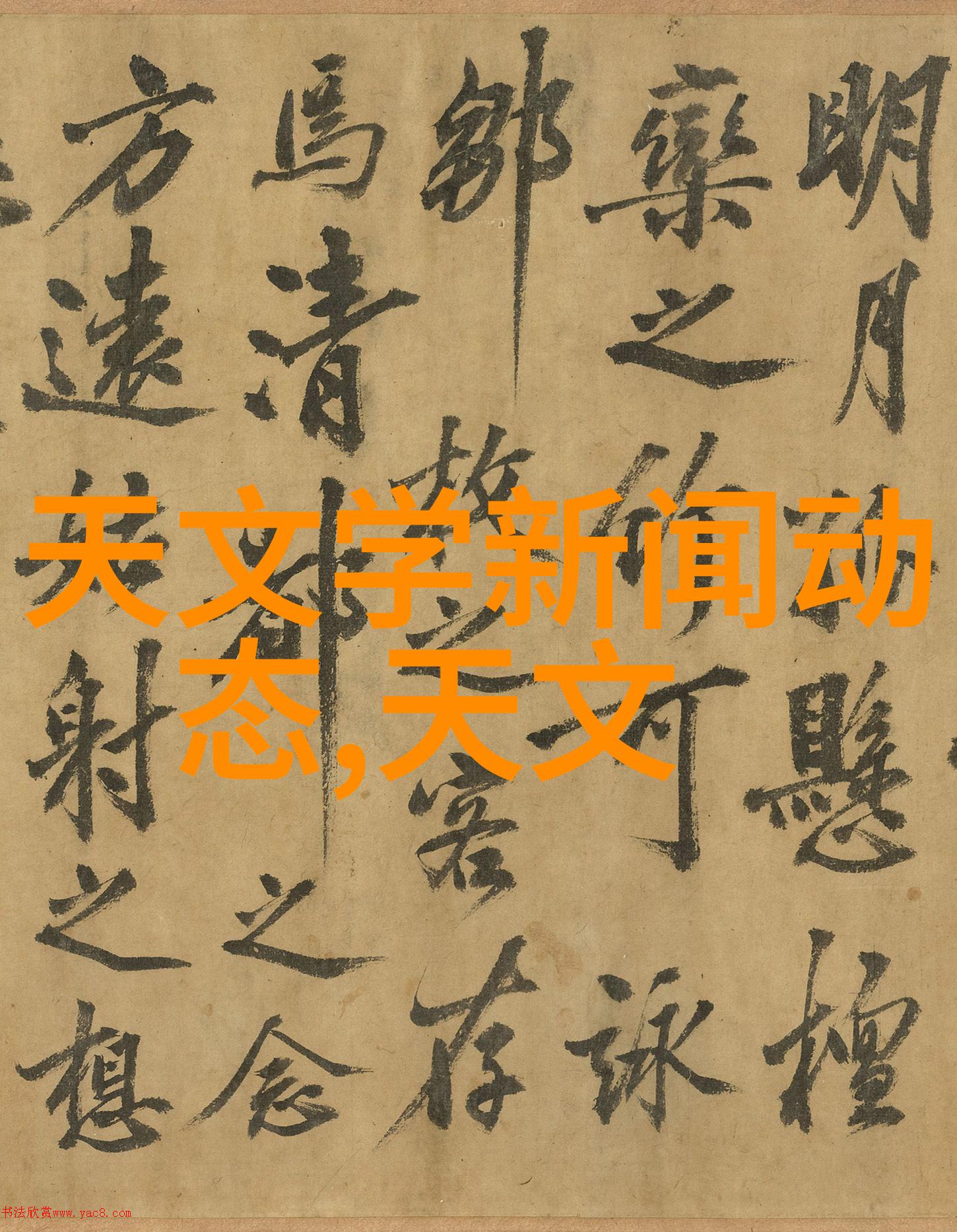 3肉蒲-探秘三种不同肉类的蒸蒜炖汤