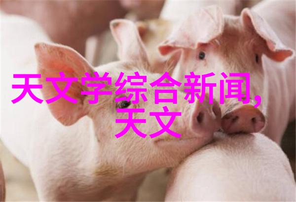 贵州财经大学重塑财经教育的新篇章