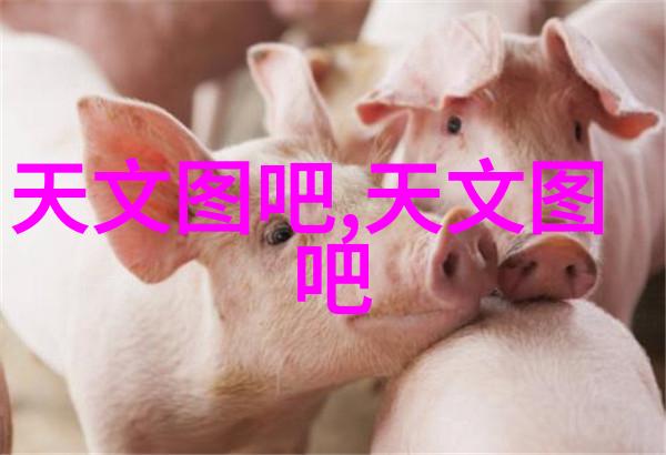 姑苏十二娘姑苏的迷人传说