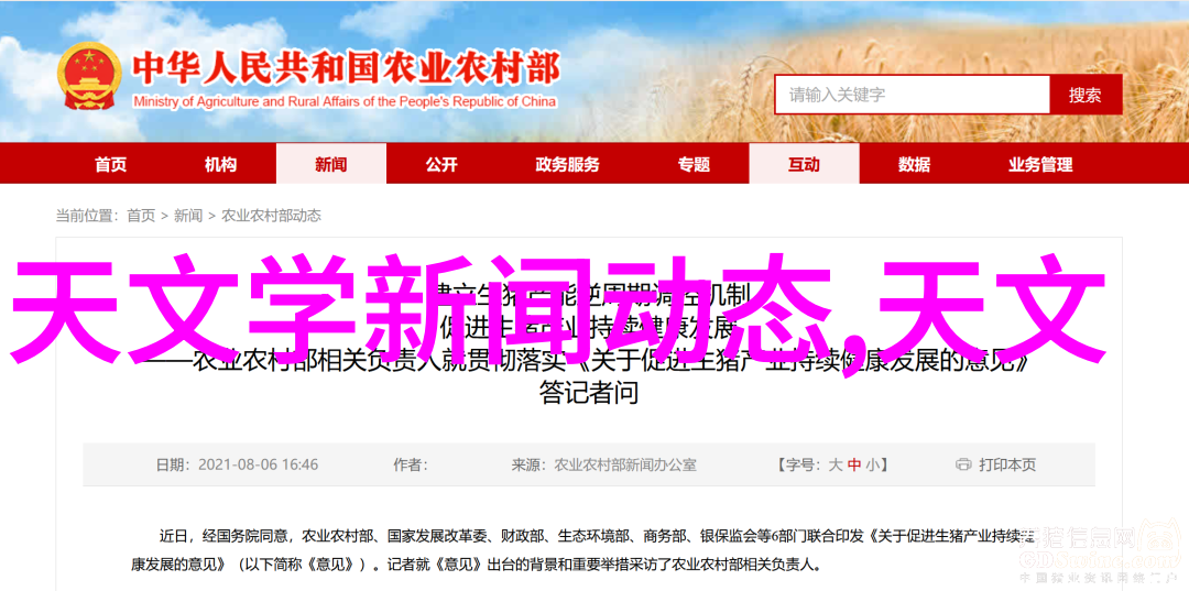 PE料型号大全探索聚poly乙烯材料的广泛应用与选择