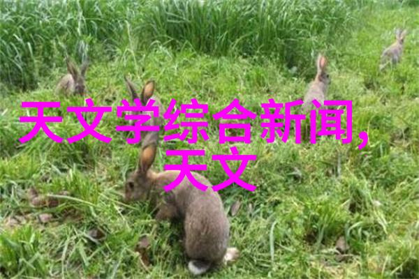 201不锈钢板价格之谜一吨重量下的经济风暴