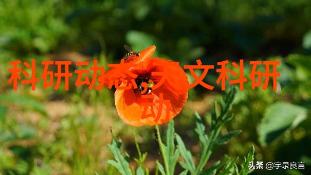 AI在医学影像诊断中的应用将带来哪些革命性变化