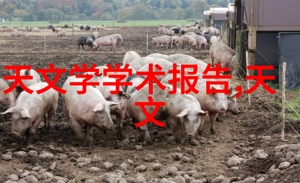 炽热的炉火与冷冻的静谧不锈钢管退火炉的双重奏鸣