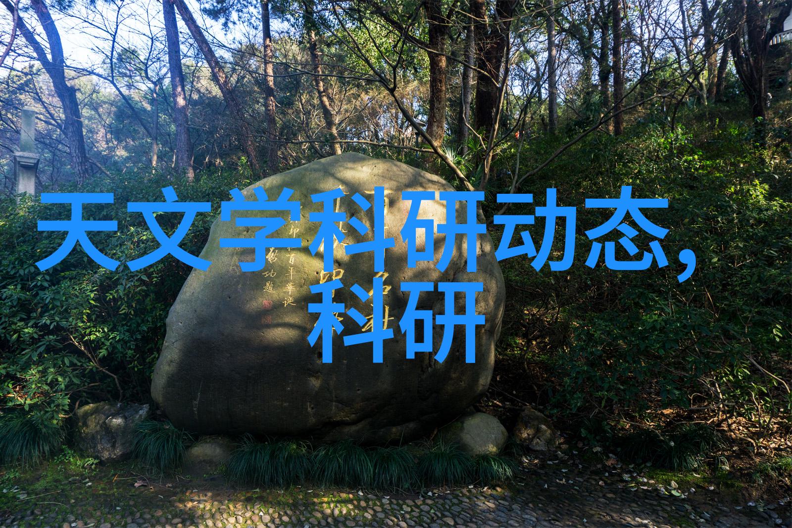 新会员体验区一探究竟的120秒奇遇