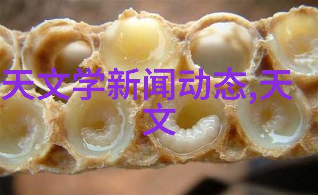 超高温瞬时灭菌机科技革新卫生安全的守护神
