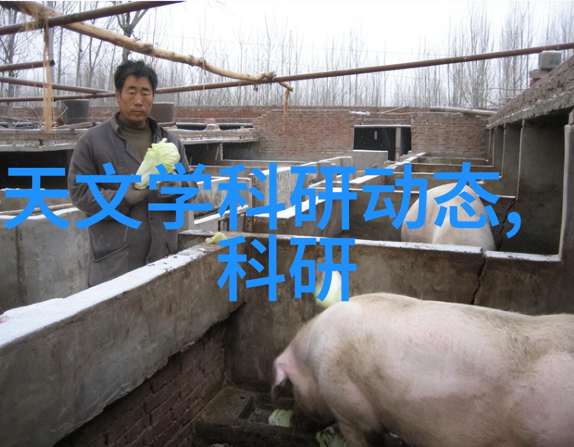 温馨雅致的家客厅简约装修效果图探秘