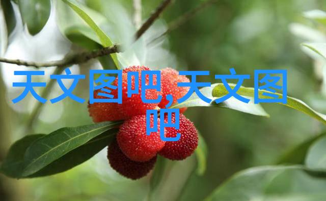 山东搪联化工设备有限公司让化学反应更有趣
