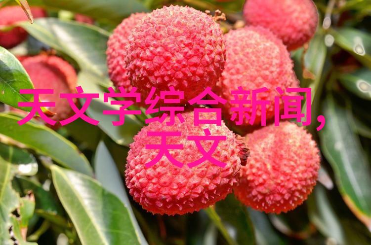 螺旋卸料离心机未知的旋转与沉默