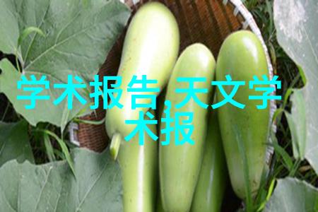 中国芯片危机-国产芯片梦技术封锁与创新突破