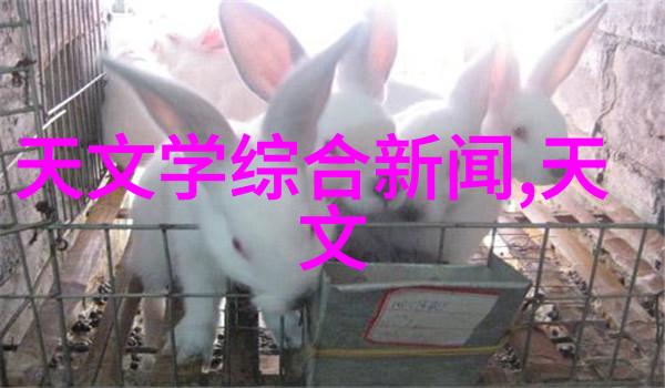 流化之舞固定床上的化学交响