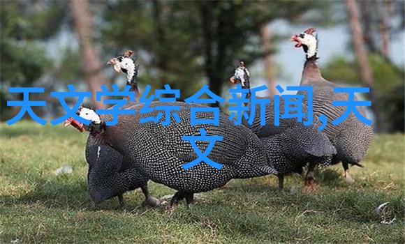 学生成长报告从分数到梦想初中生测评系统的双重奏鸣