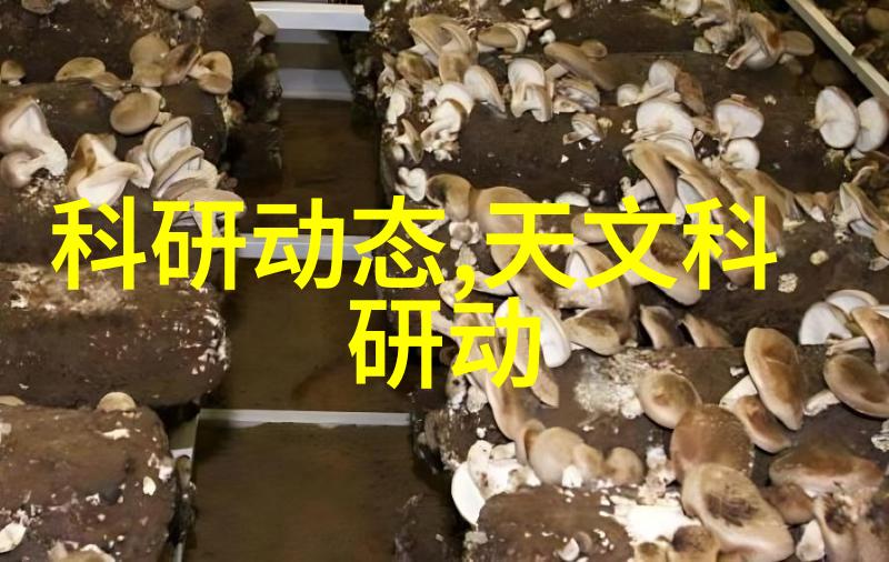 工业级冷却解决方案提供商