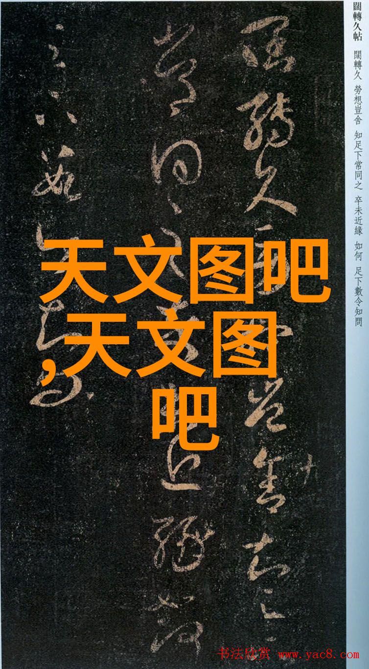 三类医疗器械仓库分区图-精细分类与高效存储的艺术