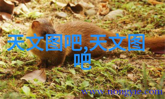 天津市智能交通网智慧城市建设中的交通管理系统