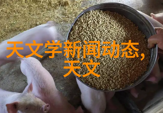 重生在废土的田野末日种植者的新篇章