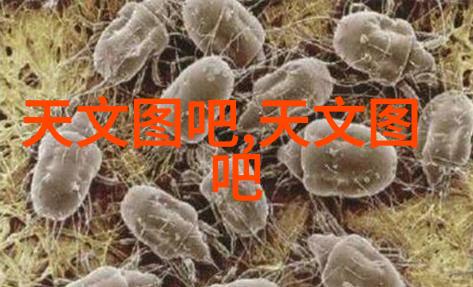 个人学生总结报告回顾学期成长与展望未来