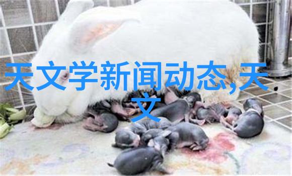金融市场的晴雨表新浪财经如何助您抢先了解经济走向