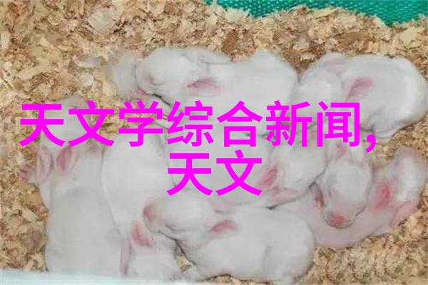 高压下的大化学反应反应釜压力的秘密与挑战
