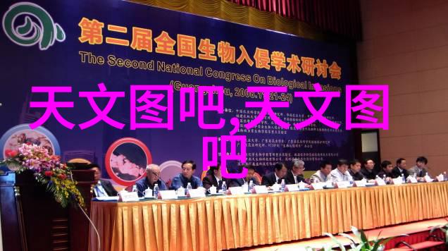 秦不良反派大佬破产小说免费阅读我这秦老板怎么就这么倒闭了