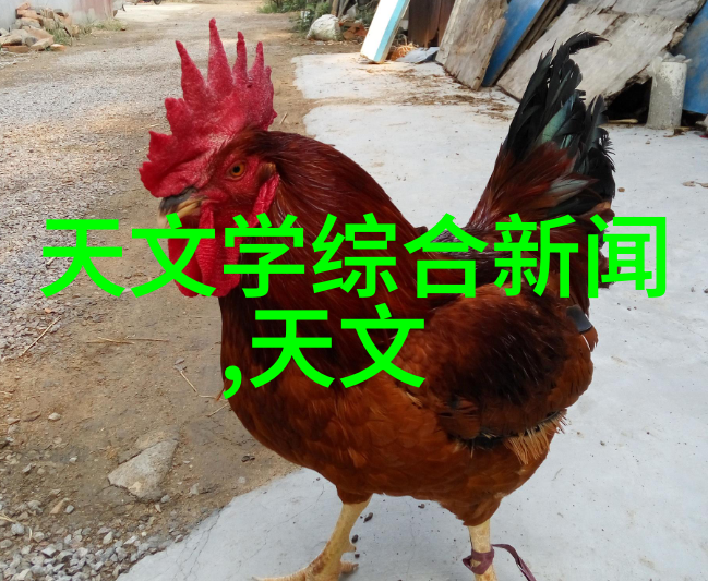 不锈钢制品图册金属的艺术与实用