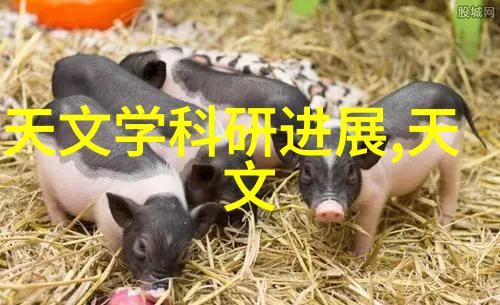学生在邯郸职业技术学院能享受到什么样的实习机会