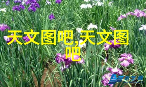 京东618不需熬夜家用电器维修培训学校助您更划算购物支持至高12期免息晚8点付尾款不失为理智之选