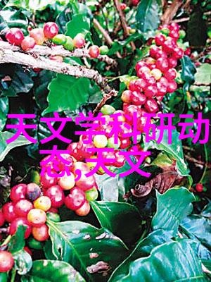 水过滤设备净化源自技术的艺术