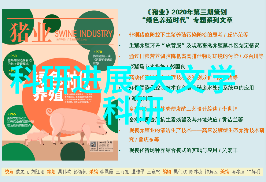 风险评估和应对策略不可忽视的部分在可研报中