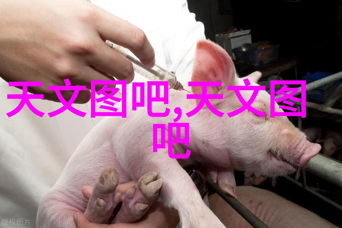 往复泵老伙计的忠实助手