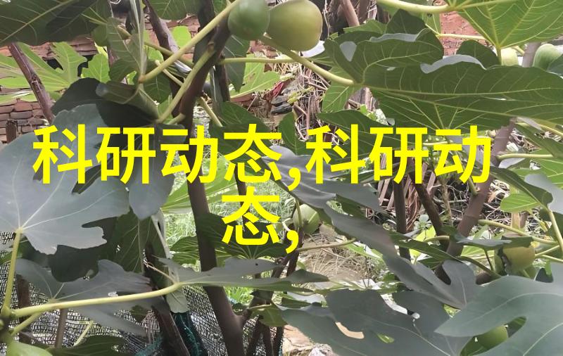 一抽一出BGM免费60的视频-音效奇迹探索无限免费音乐资源