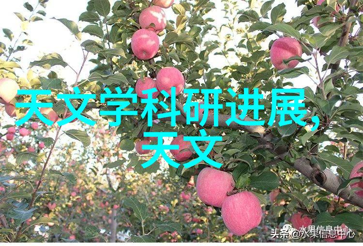 生活小技巧我是如何在家中布置各种不锈钢制品的