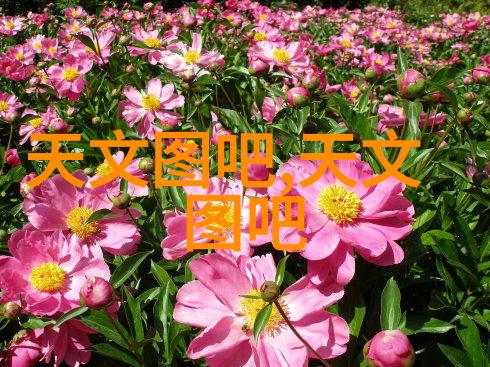 医用消毒灭菌我的安全守护者