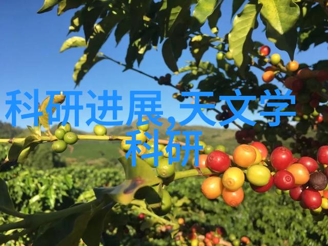 蒸汽废气处理技术高效节能的环境保护方法