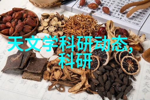 工作报告-项目进展与未来规划第二季度工作总结