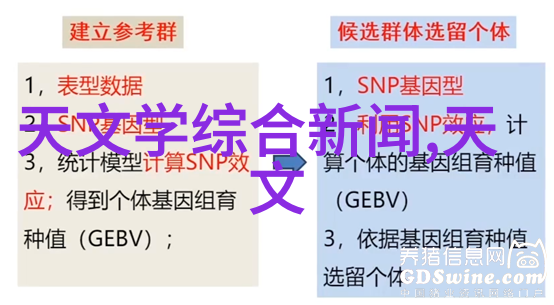 旋转分离的奥秘探索离心机在工业中的应用与作用