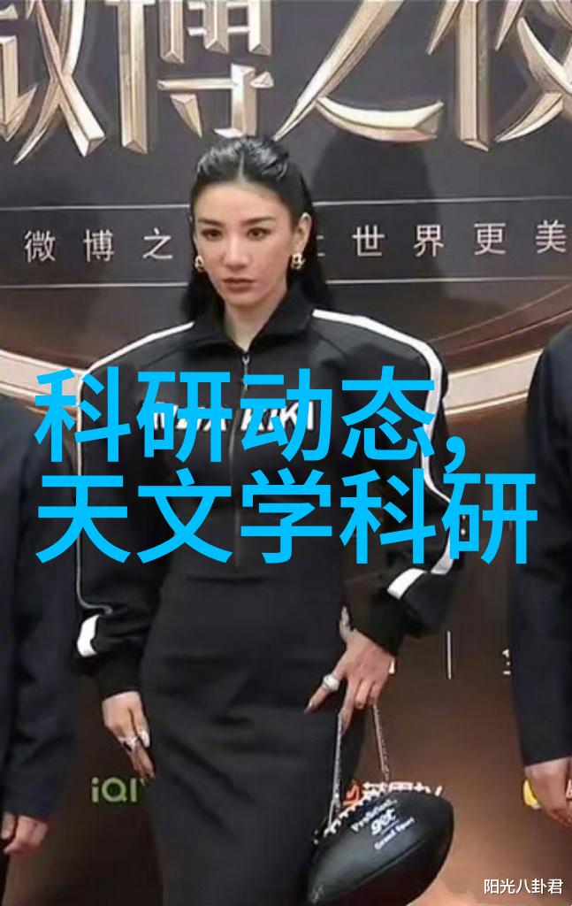 重生之最佳再婚爱的第二章