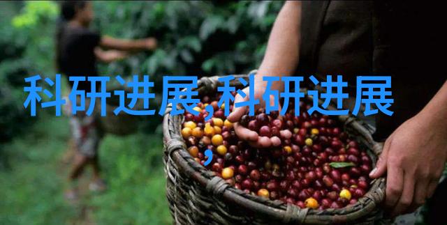 真空包装食品杀菌方法-高效消毒技术与食品安全的新篇章